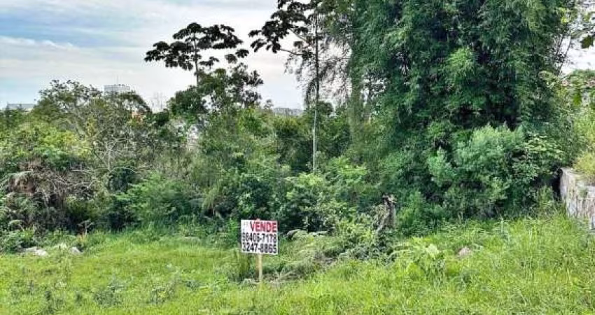 Terreno à venda, 360 m² por R$ 290.000,00 - Morro da Bina - Biguaçu/SC