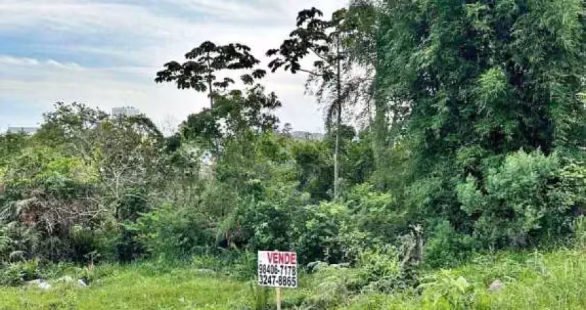 Terreno à venda, 360 m² por r$ 290.000,00 - morro da bina - biguaçu/sc