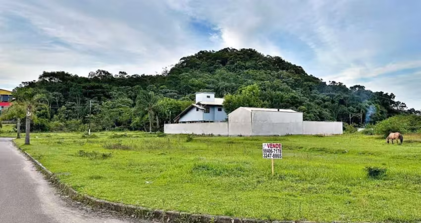 Terreno à venda, 451 m² por r$ 380.000,00 - morro da bina - biguaçu/sc