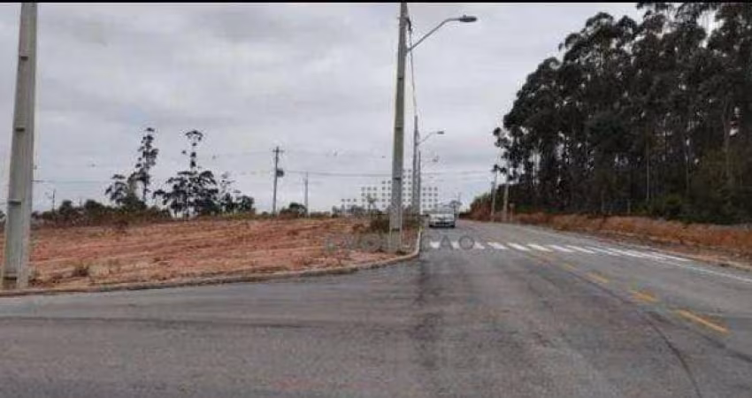 Terreno à venda - Areias de Baixo - Governador Celso Ramos/SC