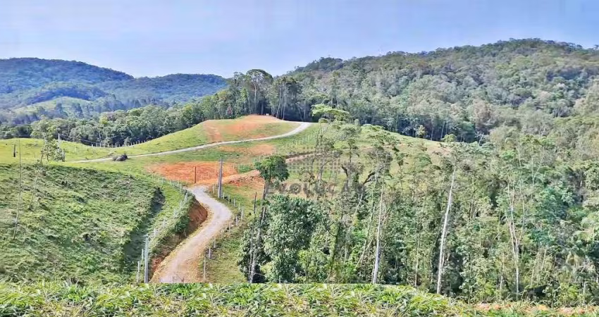 TERRENO 24.217 m² - Barro Branco - São Pedro de Alcântara