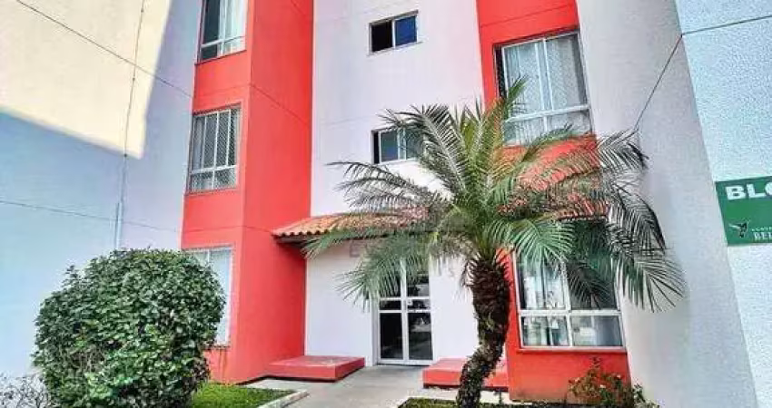 Apartamento com 2 quartos à venda na Rua Mathias Schell, Sertão do Maruim, São José