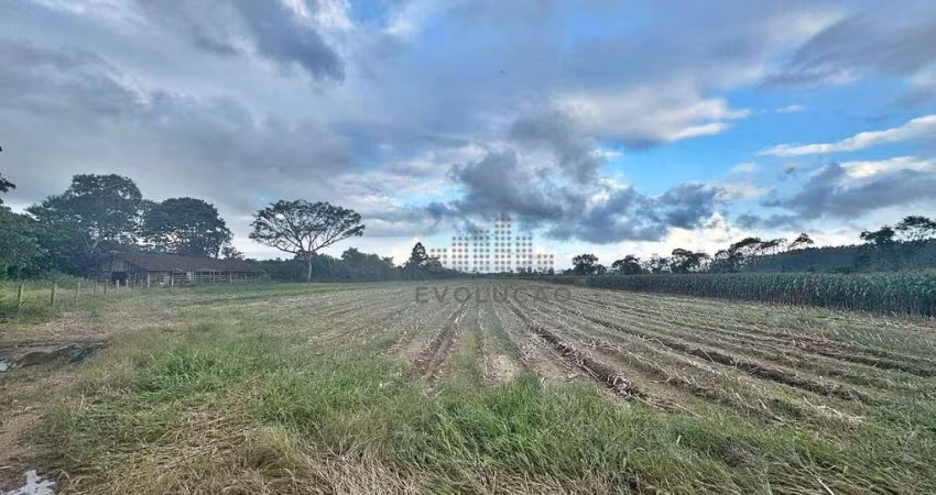 TERRENO,  47.775,00 m²  Escritura - Enseada de Brito