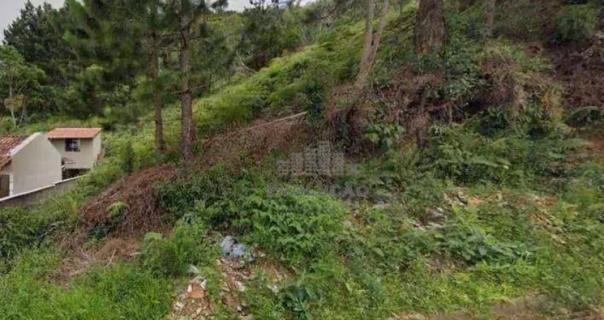 Terreno à venda na Rua Angelin, Potecas, São José