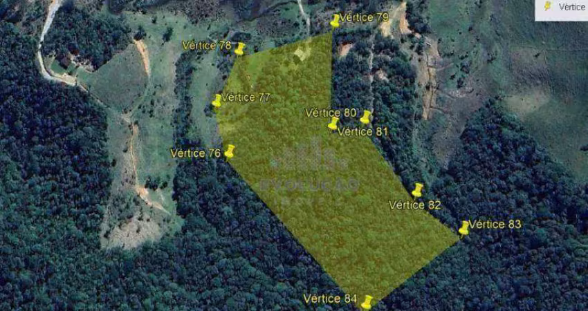 Sítio com casa de 2 dormitórios à venda - são bonifácio/sc