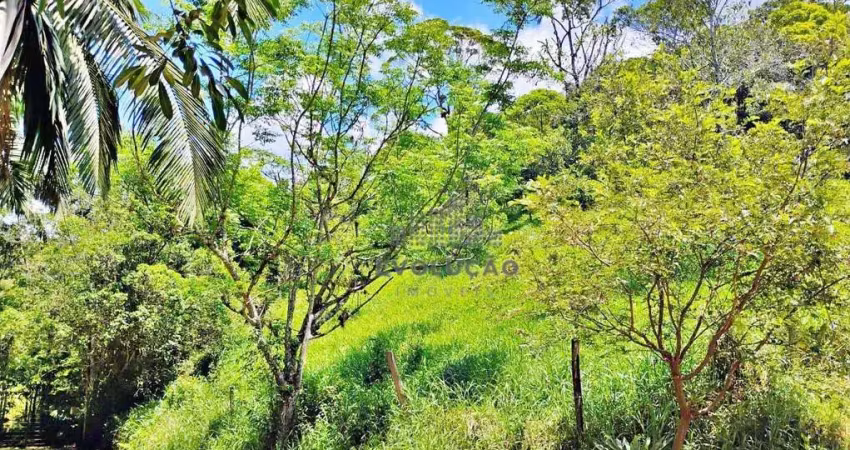 Terreno à venda no Braço São João, Santo Amaro da Imperatriz 