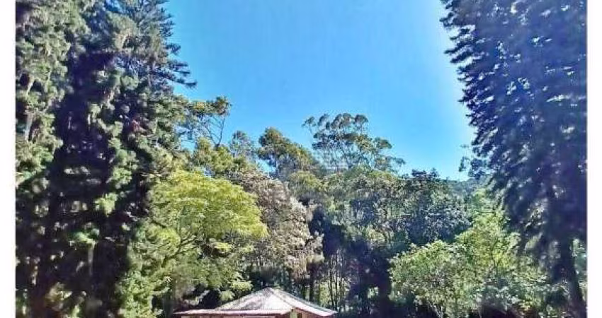 Terreno 175.000 m² - Rio Vermelho - Florianópolis