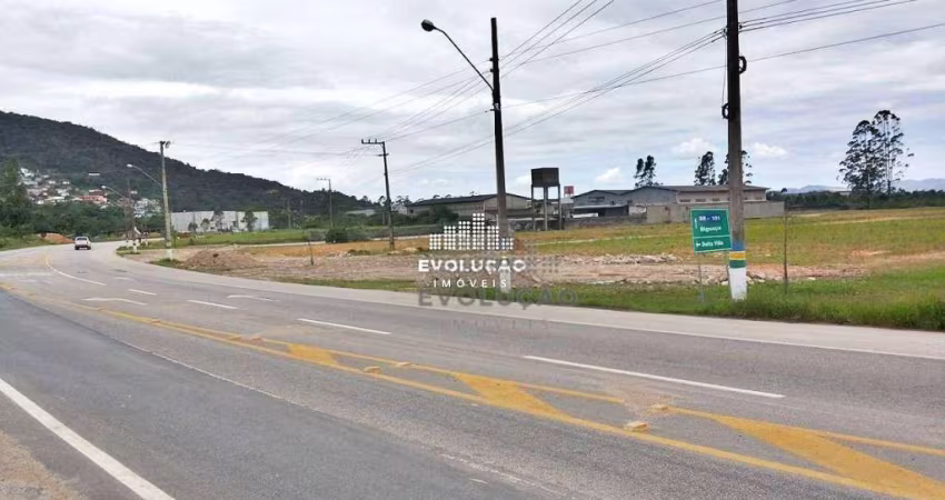 Ótimo terreno  industrial  - Biguaçu