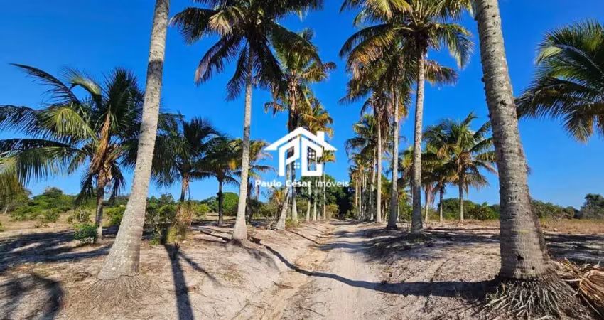 Sítio exclusivo: casa à venda em araruama-rj, área com 64.000m²