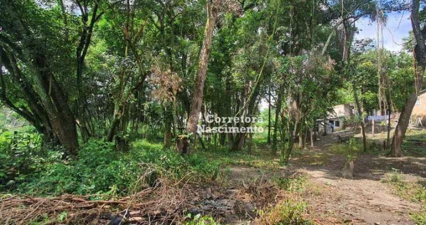 Sítio com 1 dormitório à venda, 42026 m² por R$ 3.500.000,00 - Rio Abaixo - Jacareí/SP