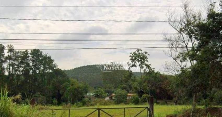 Terreno para alugar, 1000 m² por R$ 6.000,00/mês - Bandeira Branca - Jacareí/SP