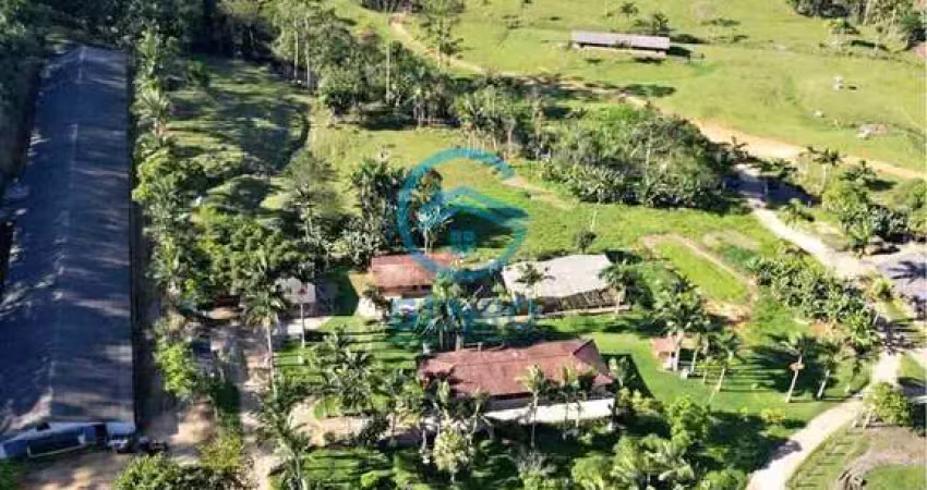 Fazenda com galpão aviário para 32.000 aves e terreno de 66 hectares à venda em tijucas/sc