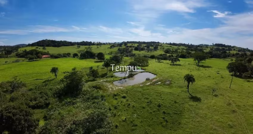 Fazenda 3 alqueires em Anicuns - Excelente para plantio