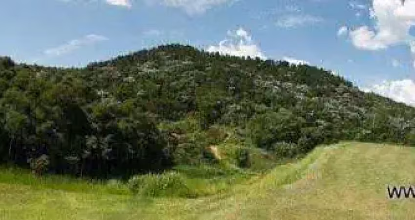 Terreno à venda na Avenida Manoel Ferraz de Campos Sales, Centro, Santa Isabel