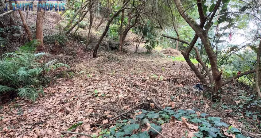Terreno 1.207m² condomínio alto padrão na granja viana