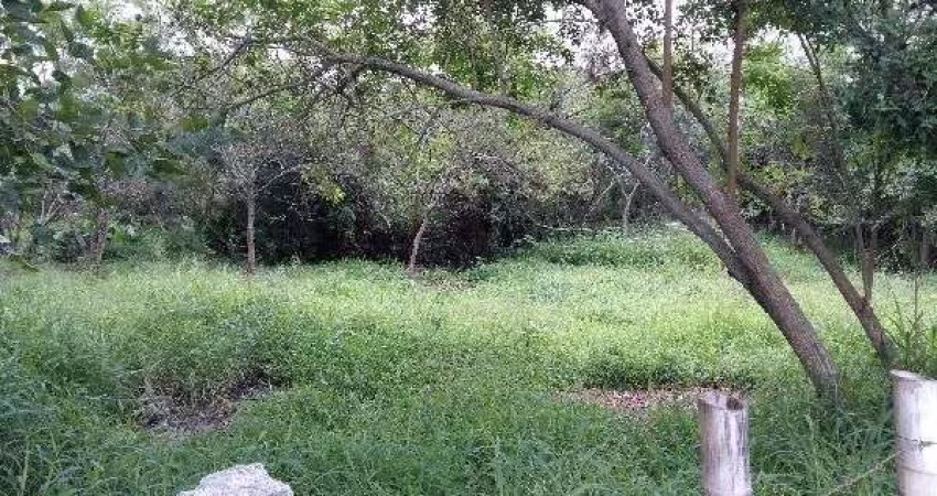 Terreno para Venda - 0m², 0 dormitórios, Lami