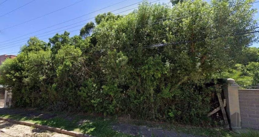 Terreno Residencial em Teresópolis