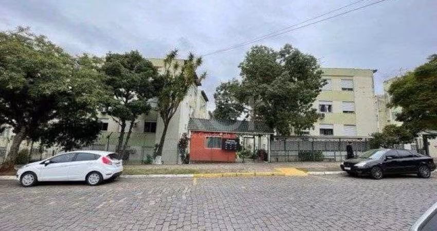 Apartamento para Venda - 66.66m², 3 dormitórios, 1 vaga - Vila Nova