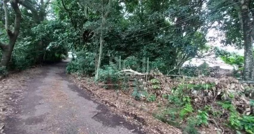 Terreno Residencial em Camaquã