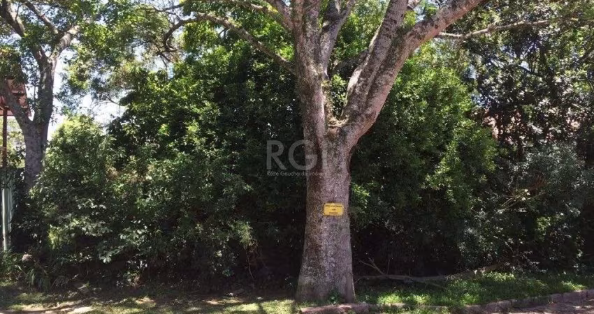Terreno para Venda - 0m², 0 dormitórios, Teresópolis