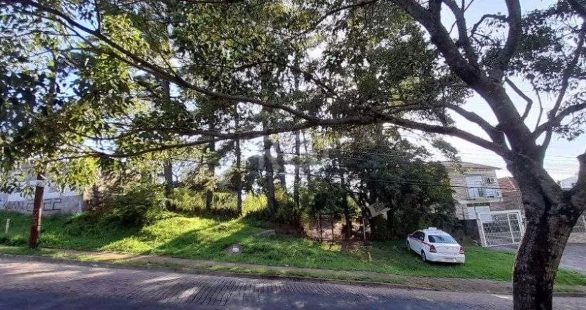 Terreno Residencial em Teresópolis