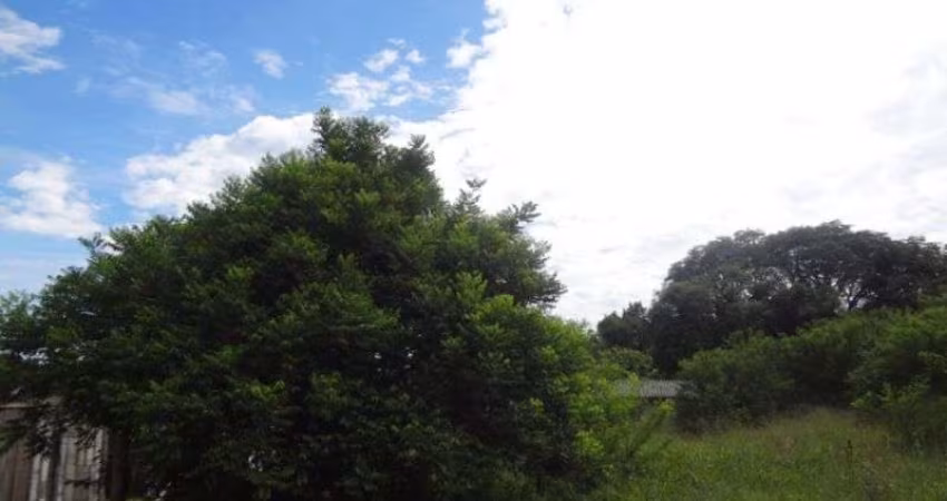 Terreno para Venda - 0m², 0 dormitórios, Lami