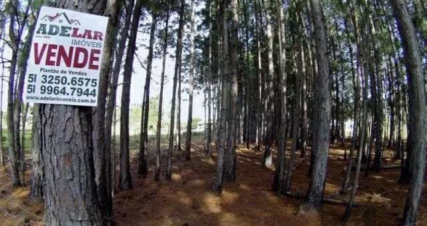 Terreno Residencial em Lami
