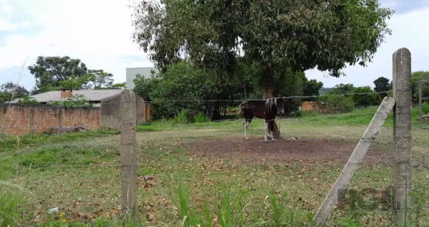 Terreno à venda na Rua Oito Mil e Dezessete, 13, Lageado, Porto Alegre