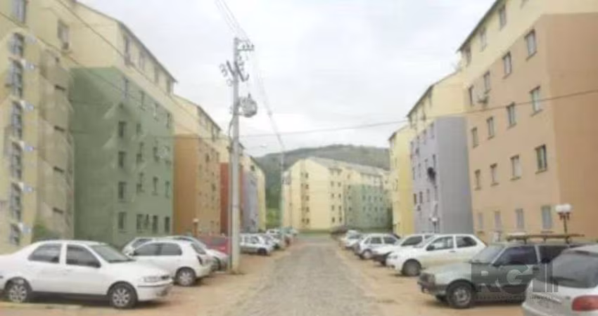 Apartamento em Campo Novo