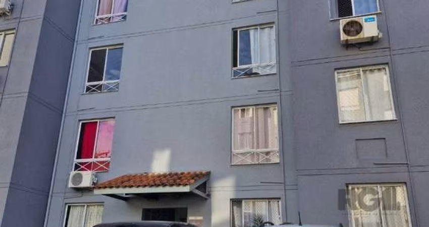 Apartamento em Morro Santana