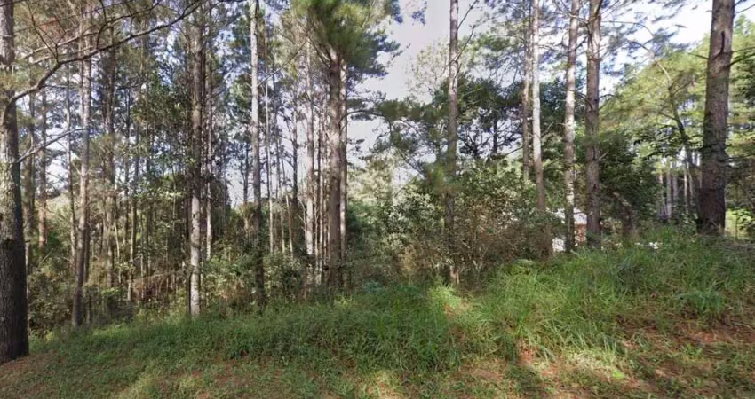 Terreno à venda na Estrada Maria Altina, 545, Hípica, Porto Alegre