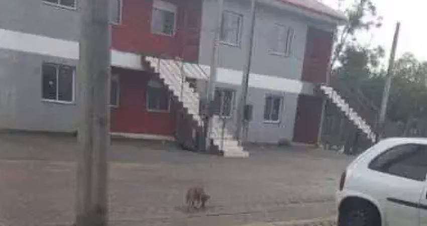 Apartamento com 2 quartos à venda na Estrada Barro Vermelho, 201, Restinga, Porto Alegre
