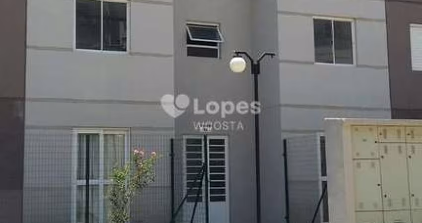 Apartamento com 3 Dormitórios e 1 Vaga de Garagem em Sumaré-SP