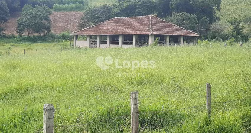 Sítio de 13 alqueires, São José do Pântano