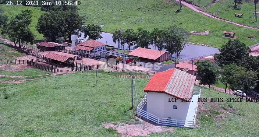 Fazenda de 232 alqueires, 38km de Araguari/MG