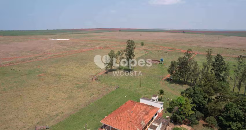 Fazenda de 393 alqueires, Presidente Prudente/SP