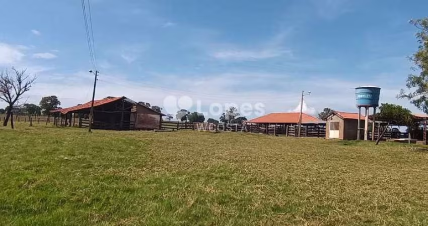 Fazenda de 115,5 alqueirão, Quirinópolis/GO