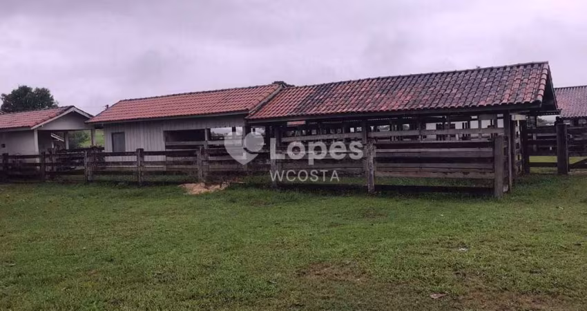 Fazenda de 149.132 há, Aripuanã/MT.