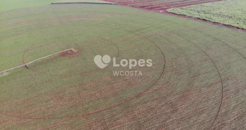 Fazenda à venda no Centro, Conceição das Alagoas 