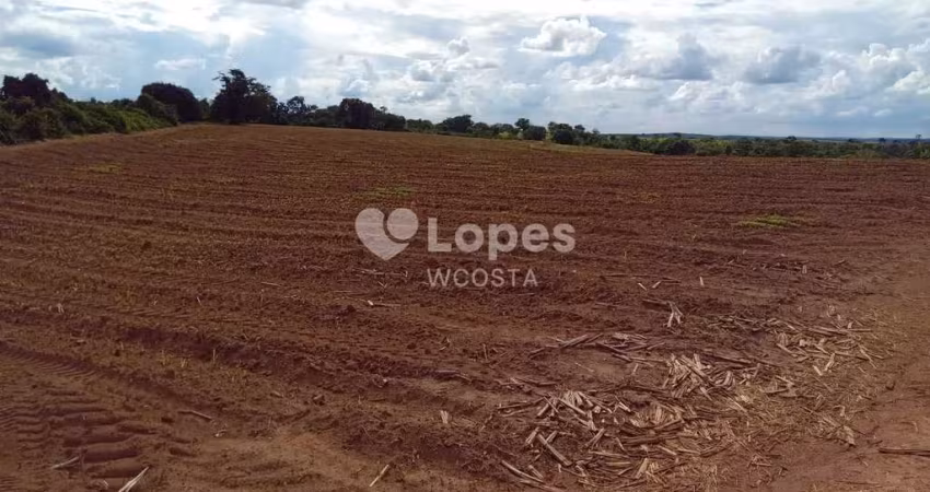 Fazenda de 70 alqueires, 39km de Uberaba/MG