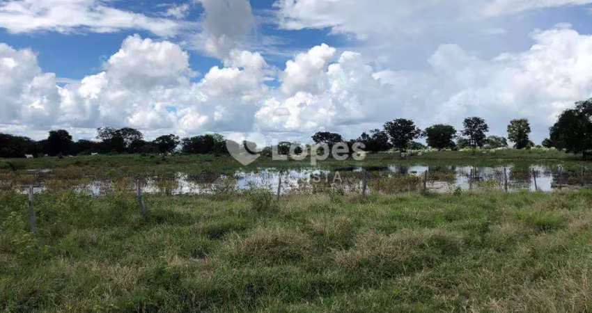 Fazenda de 6.345 ha, Janauba/MG
