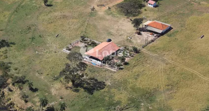 Fazenda de 120 ha, Teodoro Sampaio/SP