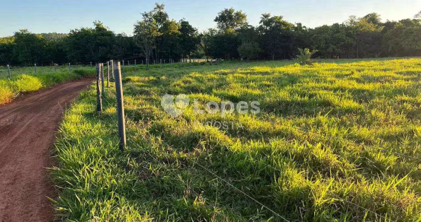 Fazenda à venda no Centro, Frutal 