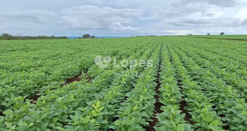 Fazenda à venda no Centro, Gaúcha do Norte 