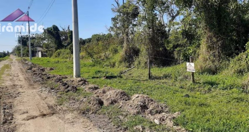 Terreno à venda, 278 m² por R$ 80.000,00 - Balneário dos Golfinhos - Caraguatatuba/SP