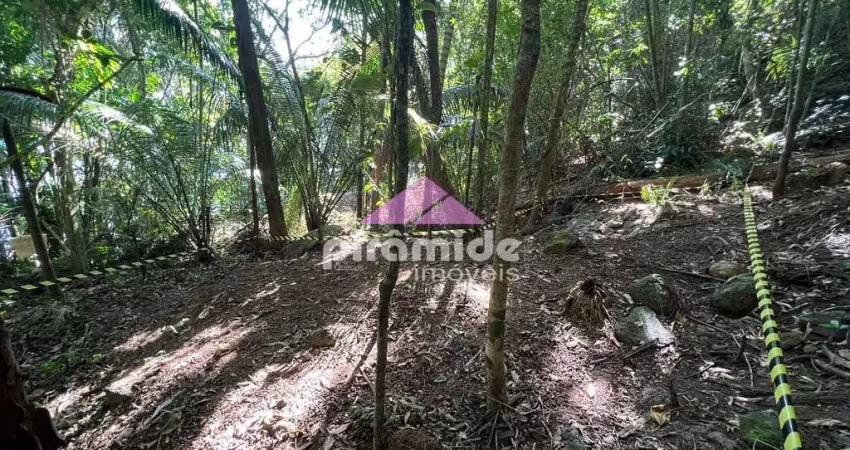 Terreno à venda, 4000 m² por r$ 550.000,00 - praia da lagoinha - ubatuba/sp