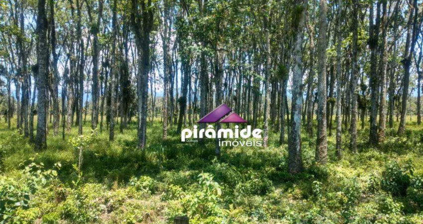 Área à venda, 30000 m² por R$ 1.990.000,00 - Pegorelli - Caraguatatuba/SP