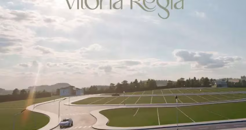 Terreno à venda na Rod. João Beira Km 44 - Leste, Vale Verde, Amparo