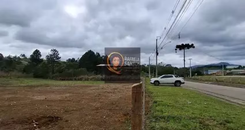 Terreno comercial à venda na Área Industrial, Campina Grande do Sul 