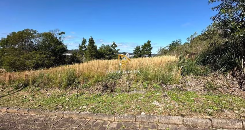 Terreno à venda na Rua Julia De Carli Paglioli, 1, São Luiz, Caxias do Sul